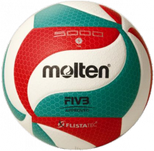 Molten Volleyballen