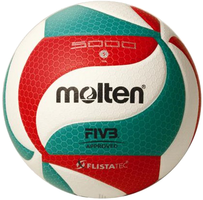 Molten volleybal 5M5000